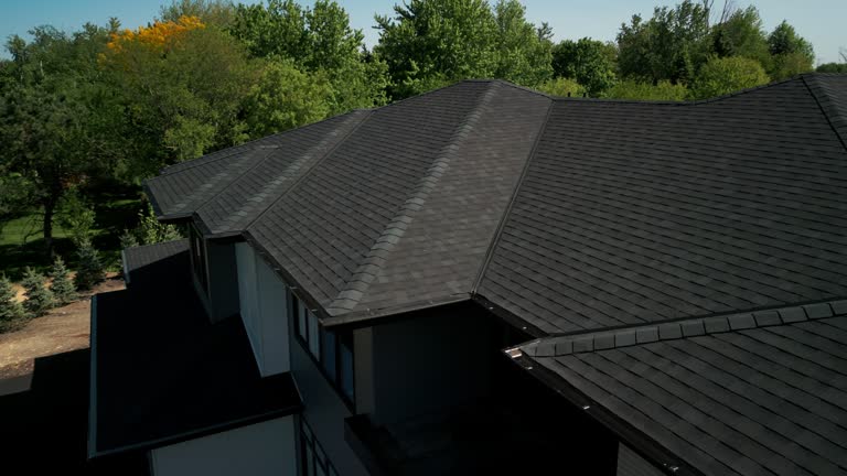 Best Roof Moss and Algae Removal  in Zapata, TX