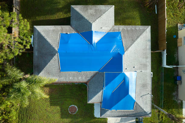 Best Roof Ventilation Installation  in Zapata, TX
