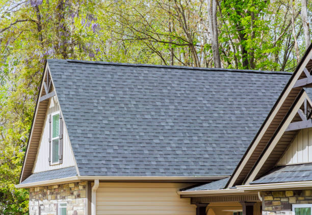 Best Roof Coating and Sealing  in Zapata, TX