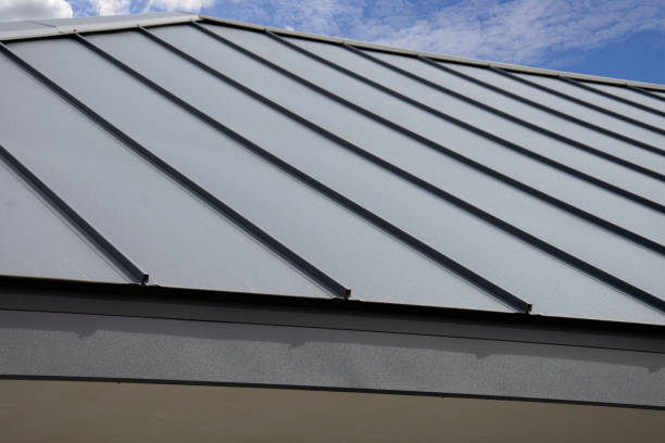 Best Gutter Installation and Repair  in Zapata, TX