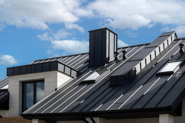 Best Roof Leak Repair  in Zapata, TX
